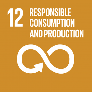 SDG 12 — Responsible consumption