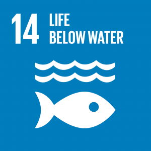 SDG 14 — Life below water