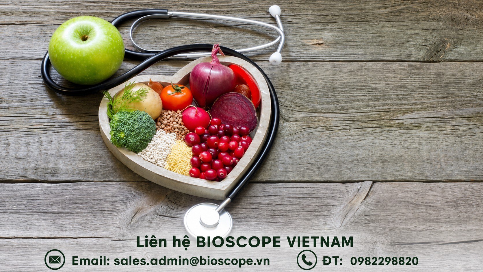 Tinh dầu gừng - Ấn Độ - TM
