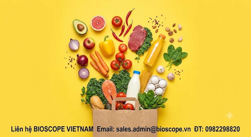 Pea Protein 80% - TQ - TM